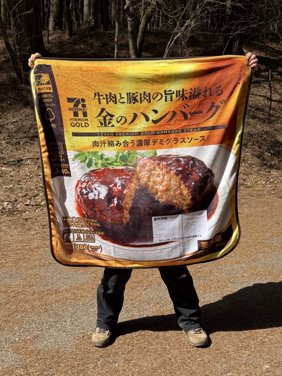 登山前に寄ったセブンイレブンで友達がクジ引いて当たったブランケット。850円。