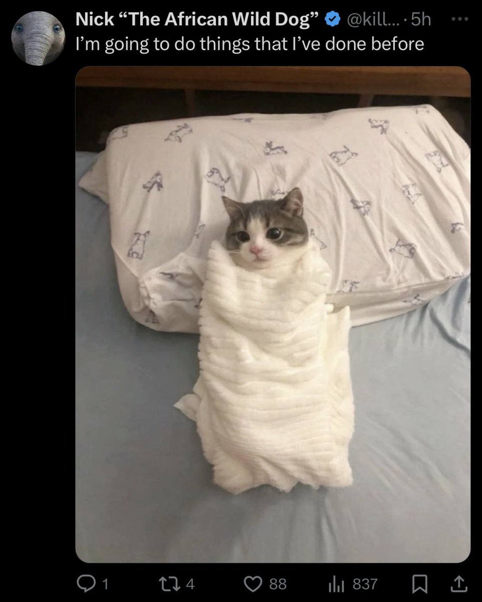 Milk Truck Driver tweet media