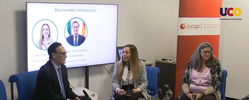 Andalucía Emprende tweet media