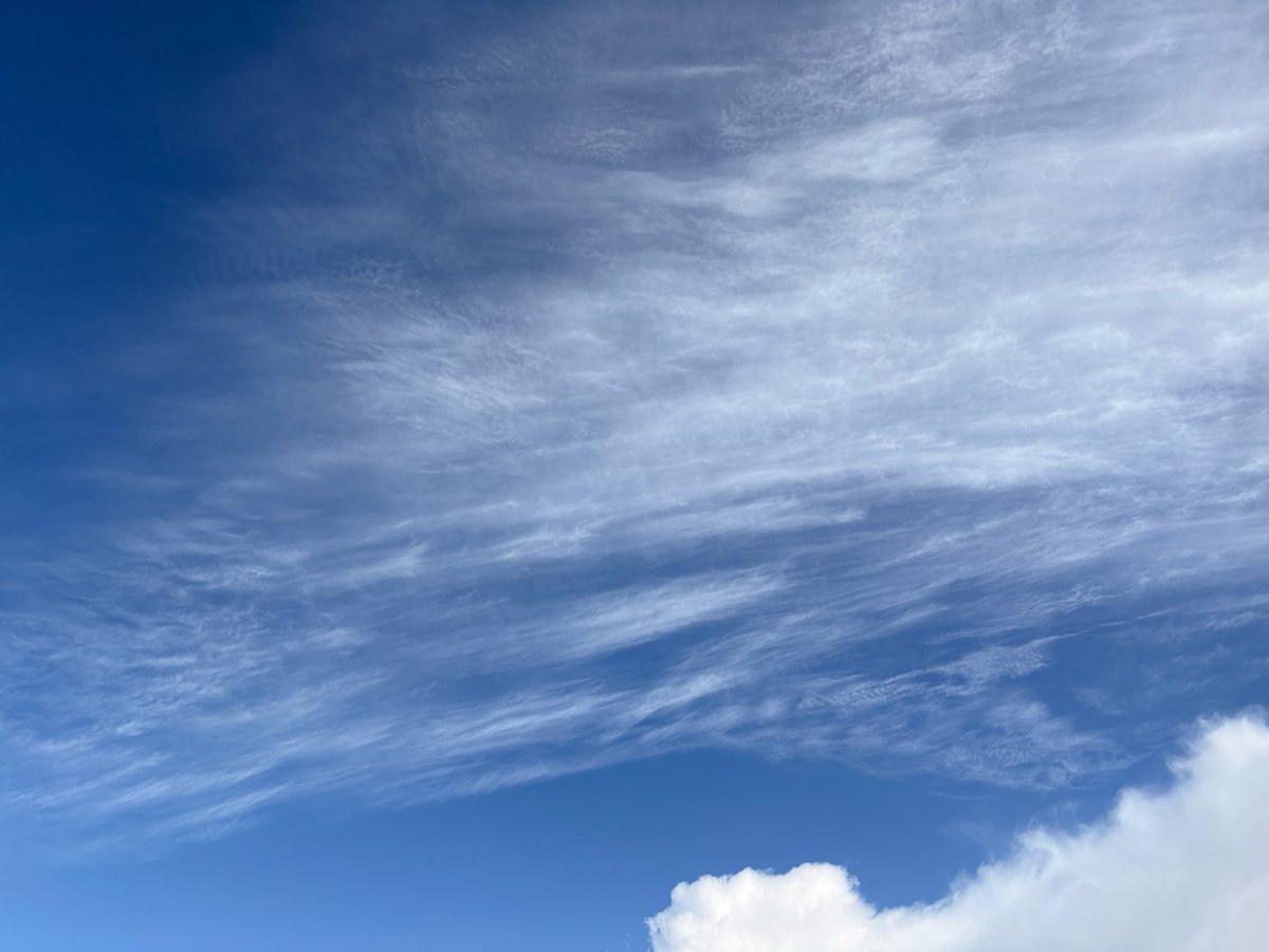Saskia 🙋🏼‍♀️ Het wolken vrouwtje ☁️ tweet media