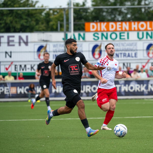 IJsselmeervogels tweet media