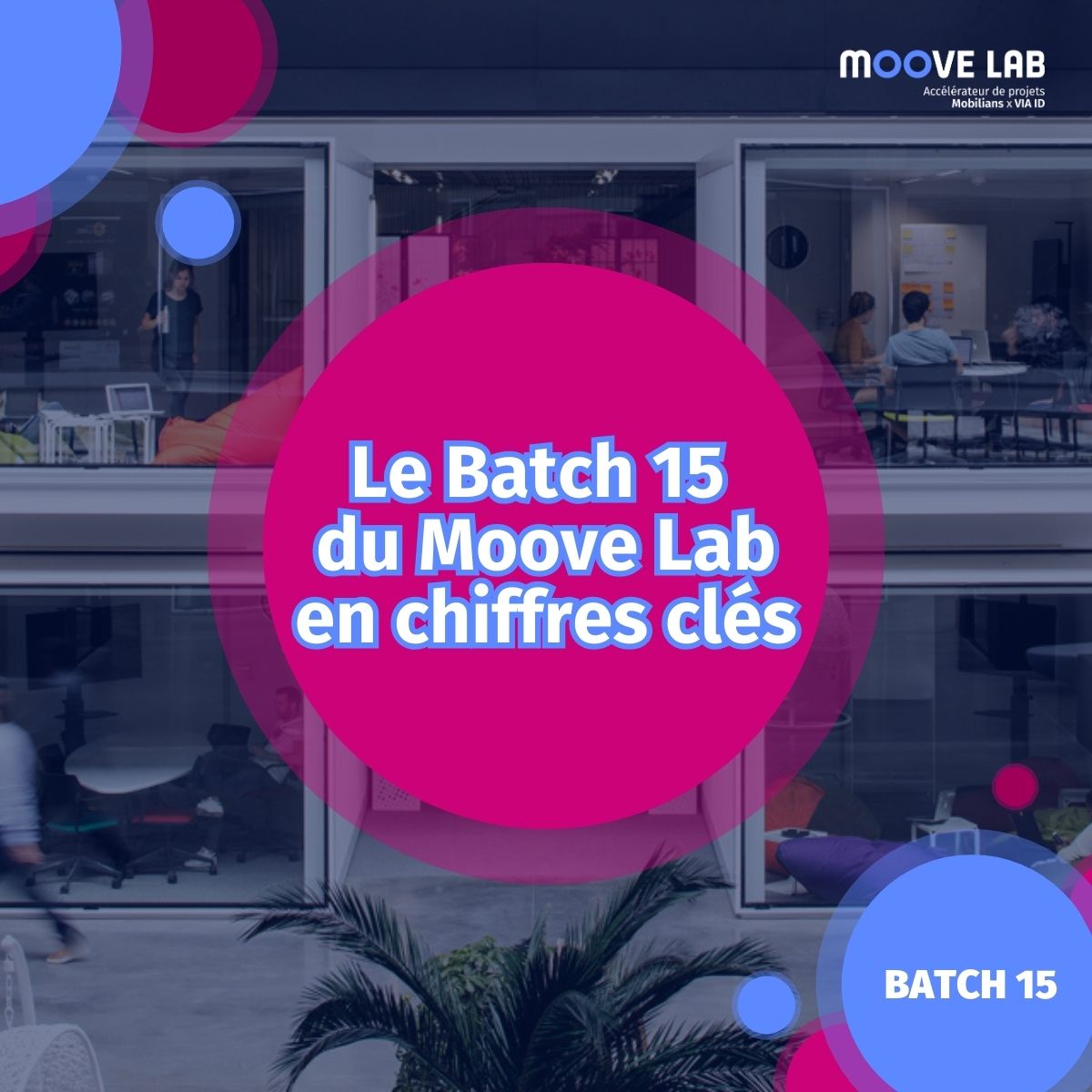 Moove Lab tweet media