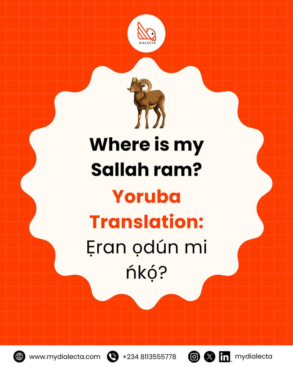 mydialecta tweet media