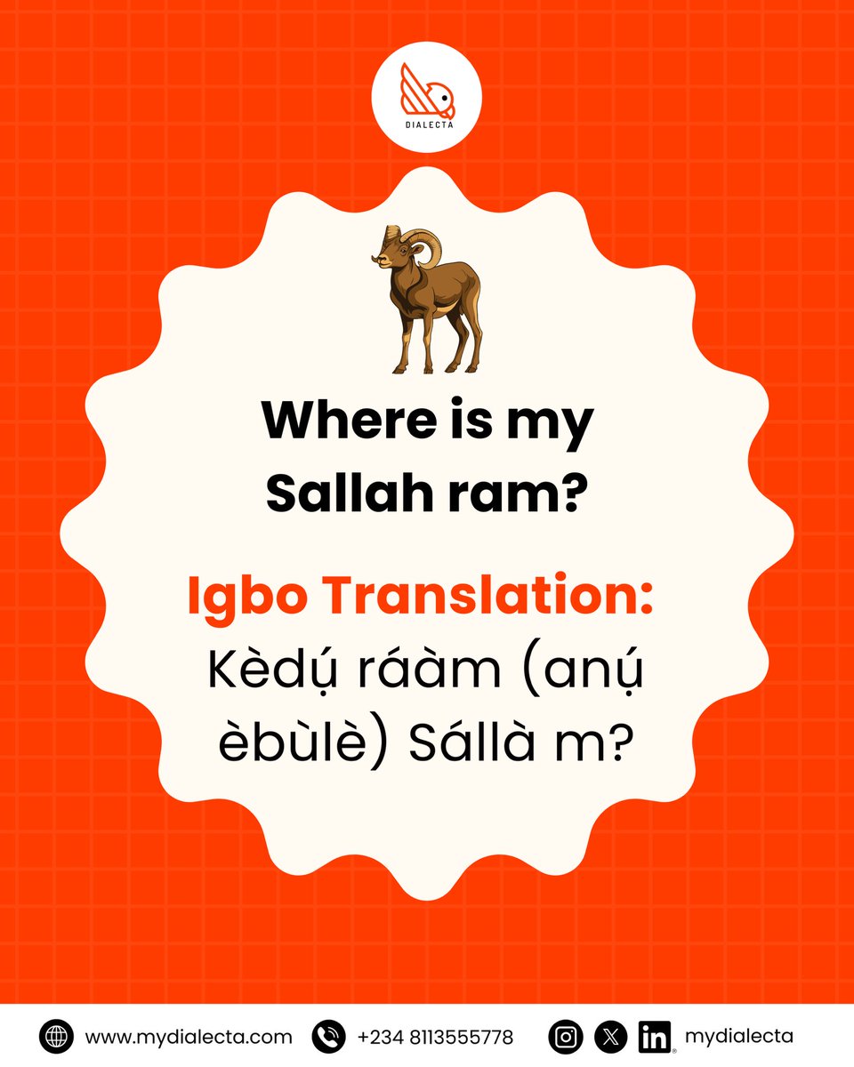 mydialecta tweet media