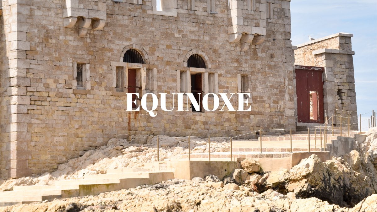 Ichtus Magazine tweet media