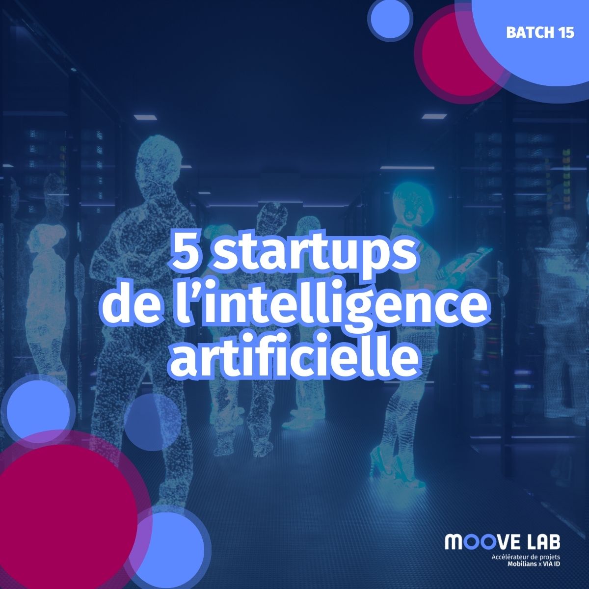 Moove Lab tweet media