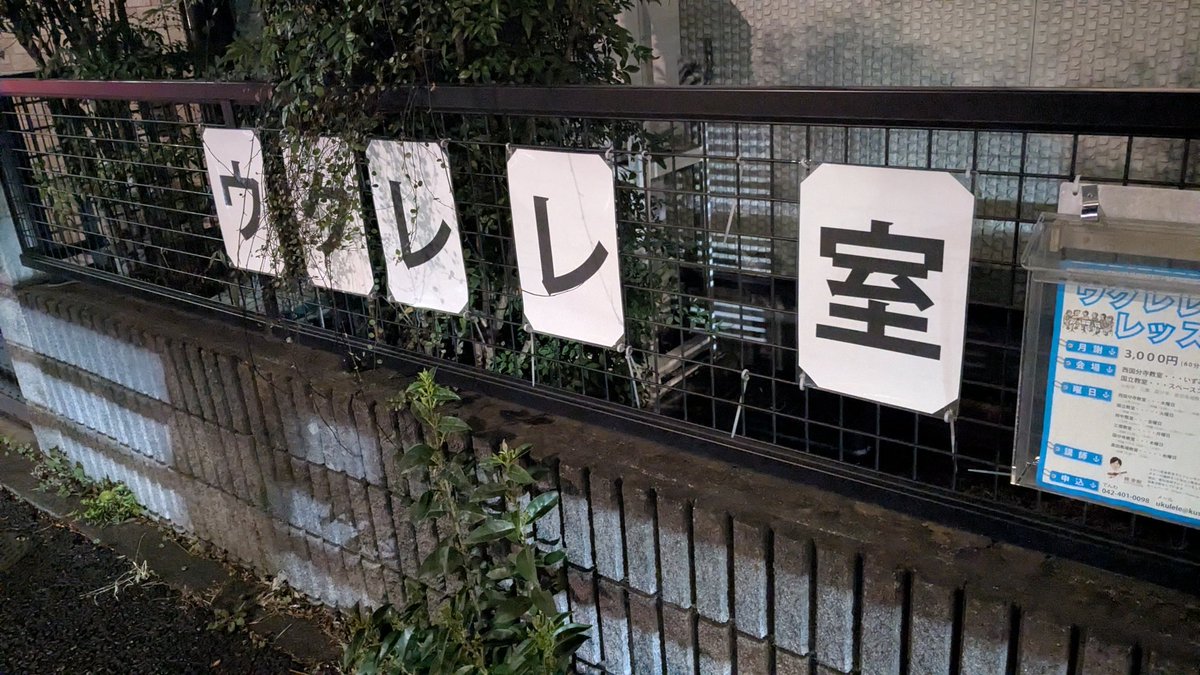 xL(おおきなえる) 🪼☁🌙🌸🐻💿⚒️ tweet media