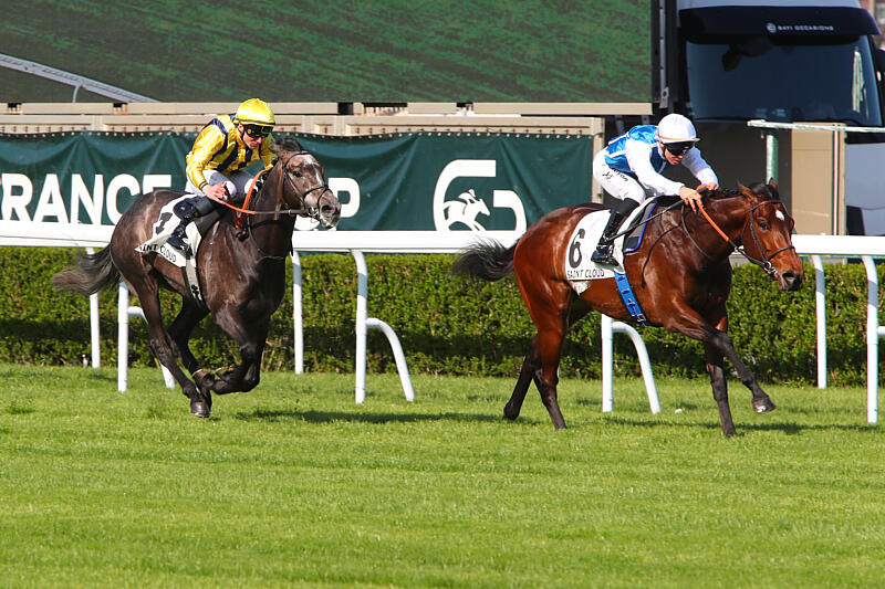 BallylinchStud tweet picture