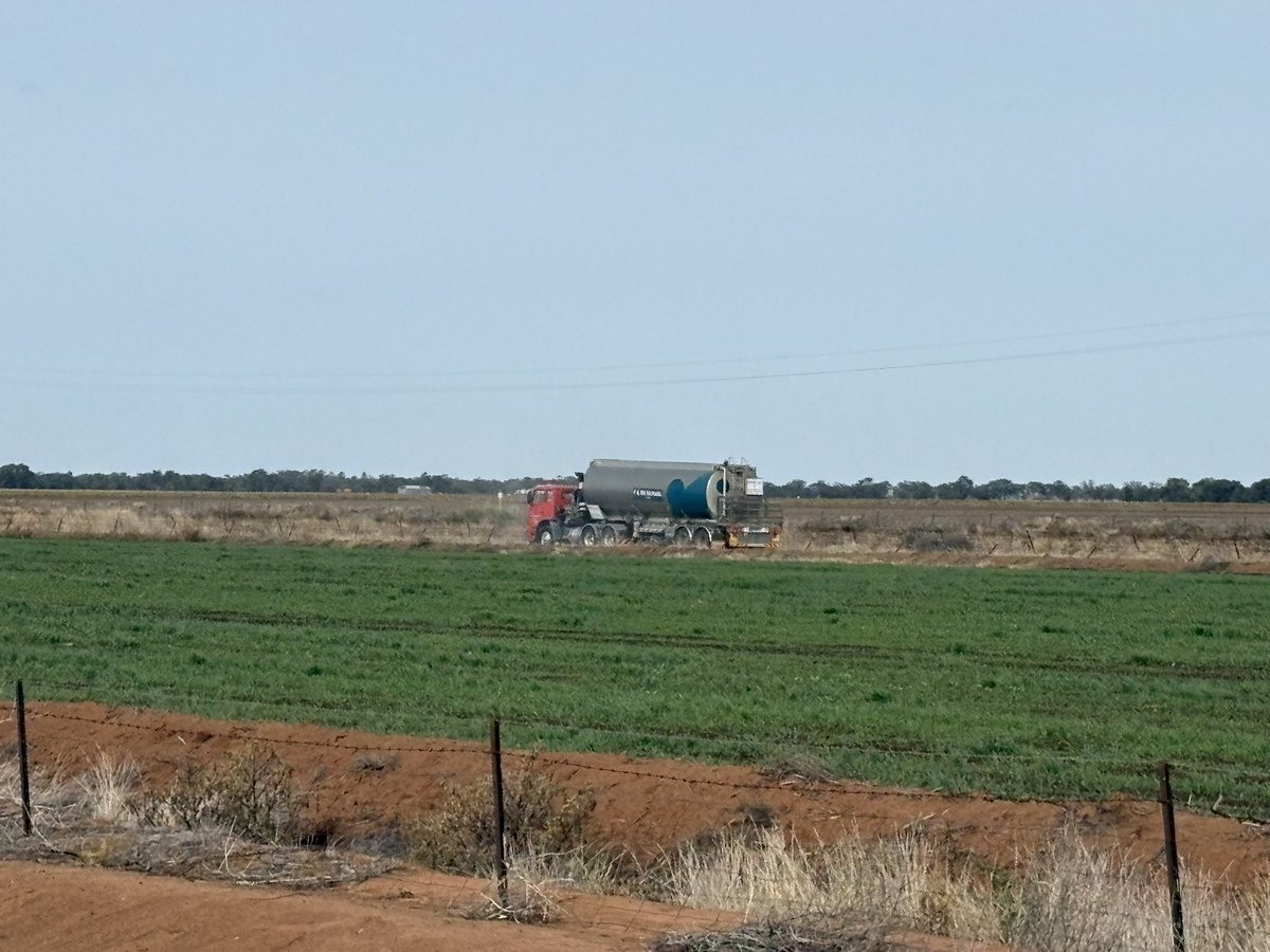 Chris Morshead 🇦🇺🏴󠁧󠁢󠁳󠁣󠁴󠁿 tweet media