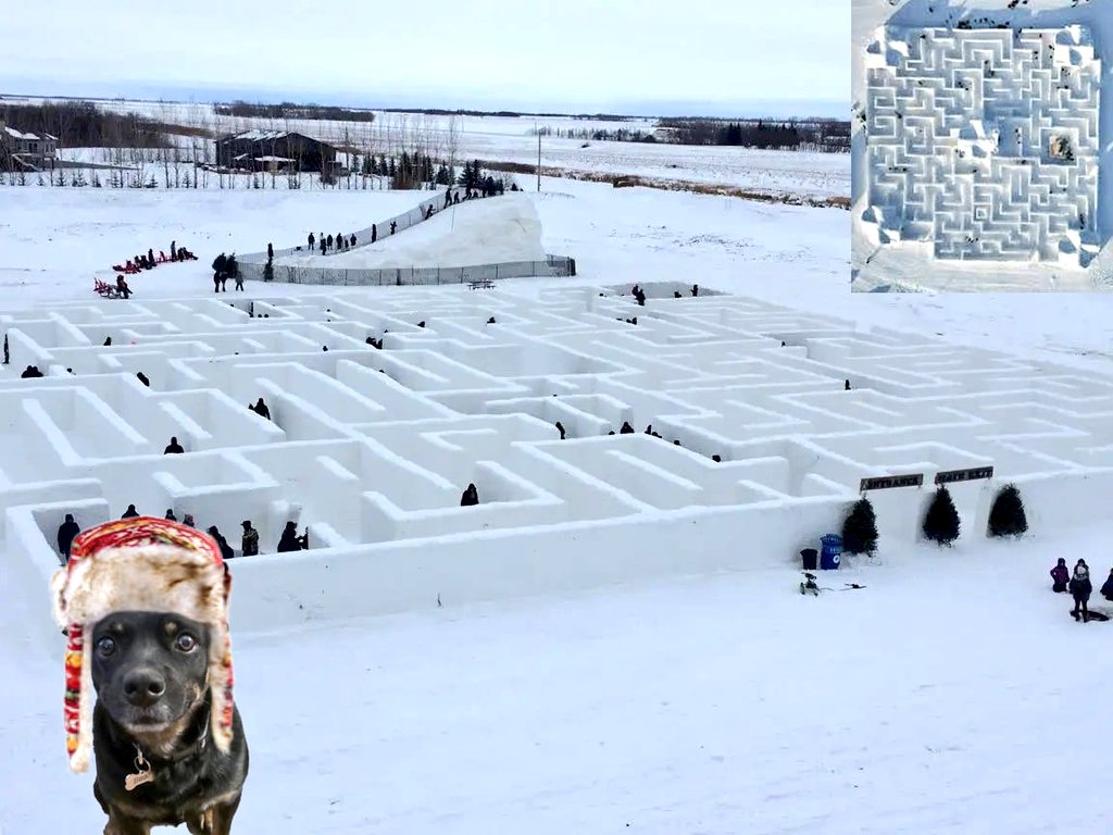 CanadianPenny1's tweet image. Bear's 🇨🇦 #FunFact: St. Adolphe #Manitoba is home to the world’s largest snow maze! Built annually, it covers about 30,000 sq ft and earned a Guinness World Records title in 2019 ❄️

I would fur sure get lost in there… but at least it would be a very Canadian way to do it! 🤣