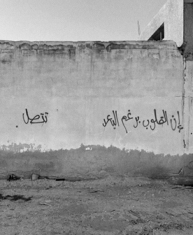 ᥫ᭡ tweet media