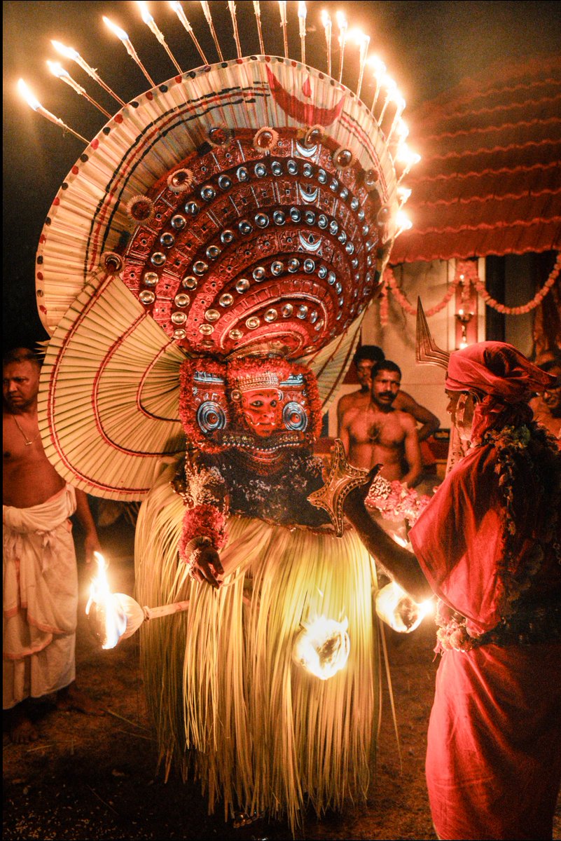 Saijo｜写真家 tweet media