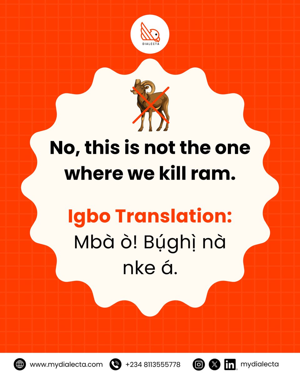 mydialecta tweet media