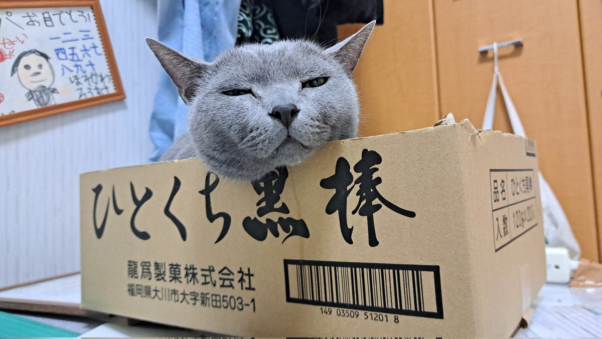 kokesukepapa's tweet photo. ひとくち黒棒 https://t.co/wZSkl3nPrS