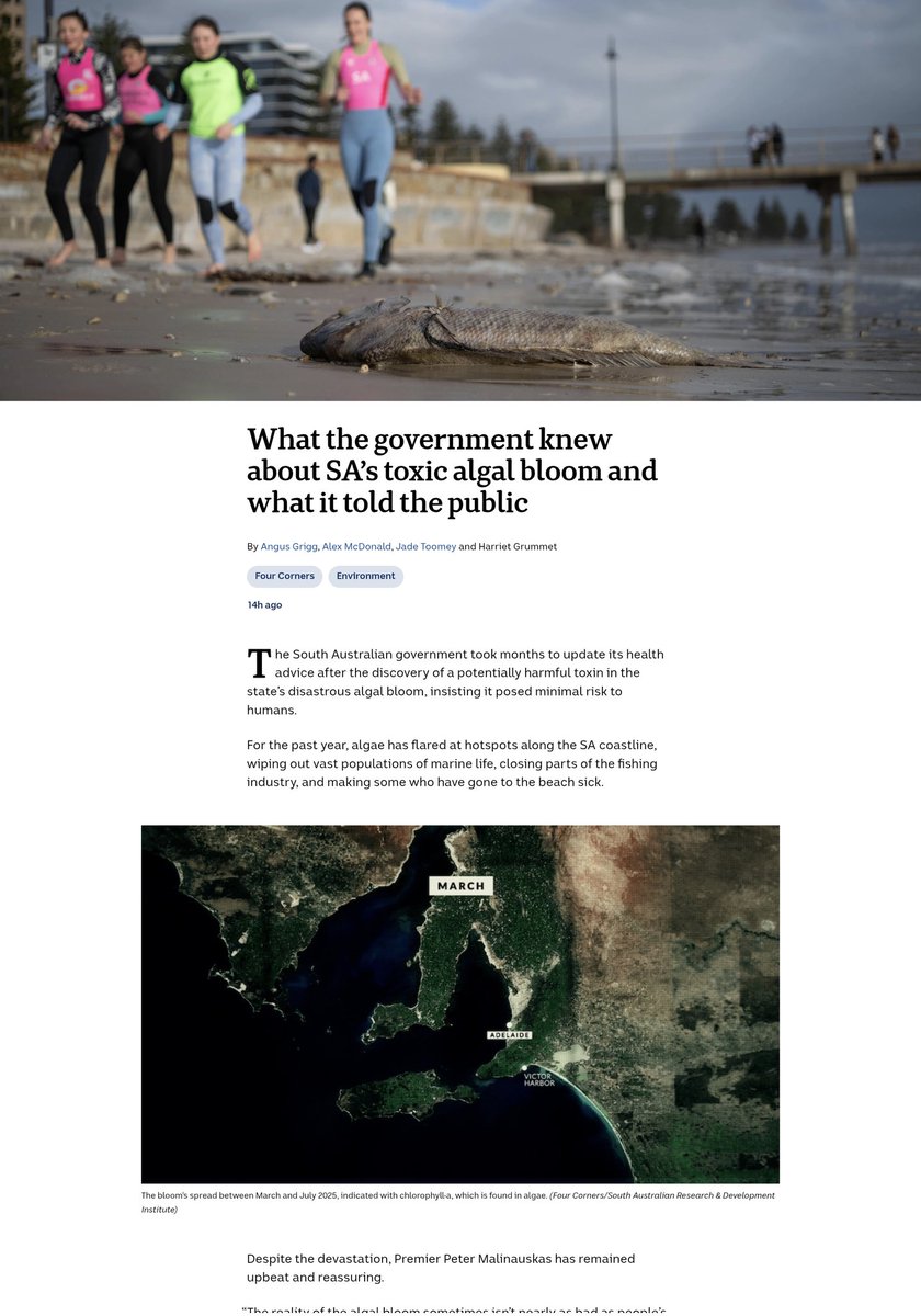 Goaks8128's tweet image. #demokratparti #devapartisi #gelecekparti #iyiparti #chp #saadetpartisi #memleketpartisi #TDP_turkiye #ttborgtr #tusiad #DogrusuAkParti 💡 #86MİLYONBİRMİ ❓❔ #UNUTMAKYOK 🇹🇷🇹🇷🇹🇷 yosun zehirli imişti, o zengin ülkede bildirmemişler🤔🤔