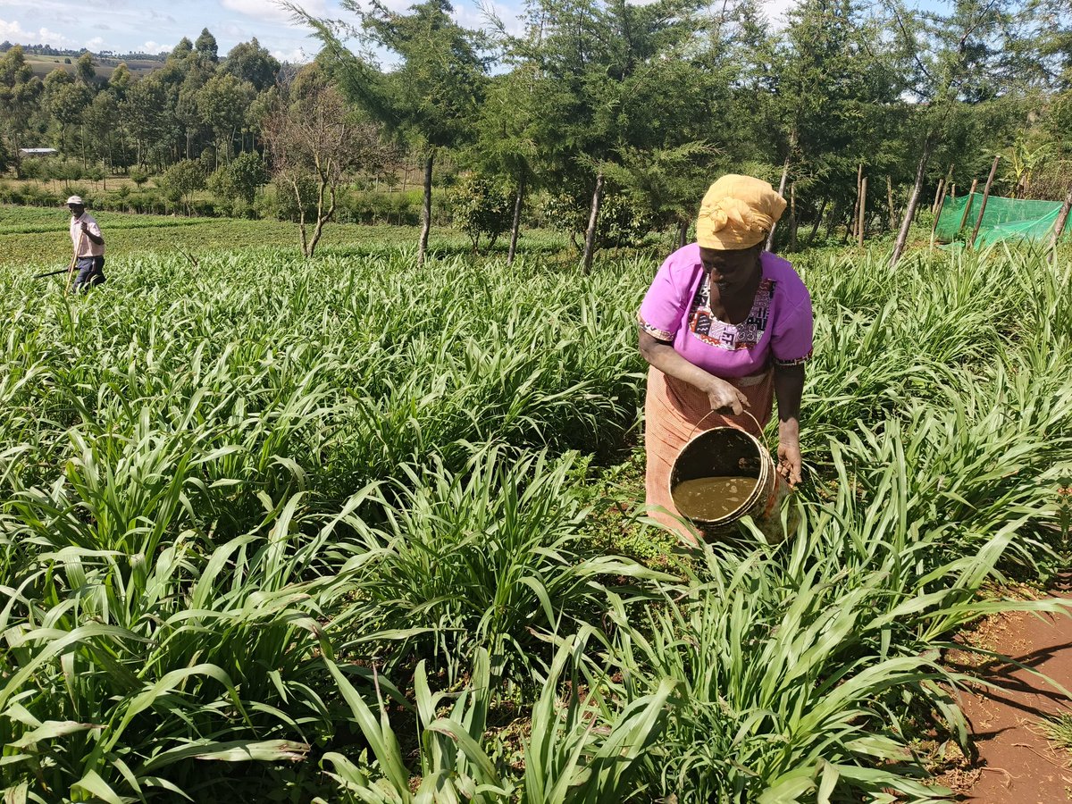 3E_Africa tweet media