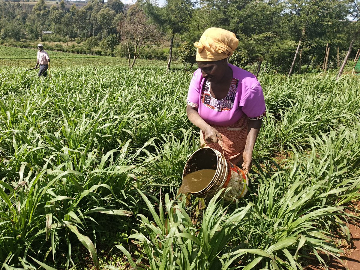 3E_Africa tweet media