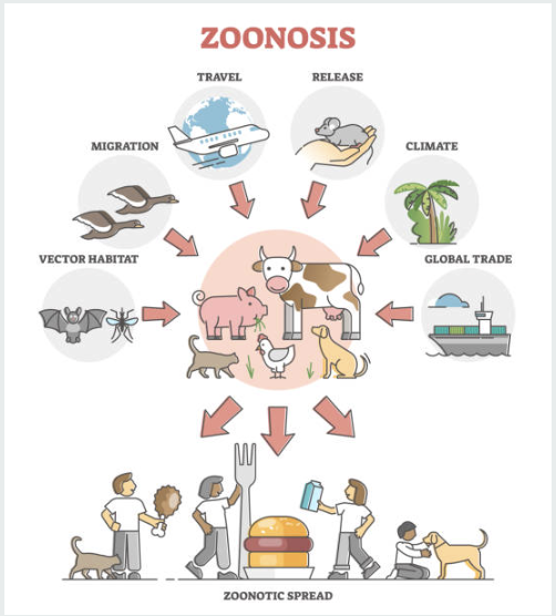 CEMA_Africa's tweet photo. Happy Monday! Did you know ~60% of human infectious diseases originate from animals, &amp; 75% of emerging diseases have an animal link (WHO)? Protecting human health is closely tied to animal &amp; env health. Learn: https://t.co/902LmeirmC
#OneHealth #Zoonoses #GlobalHealth 
@AM2NTD https://t.co/WUE5xjWDPi