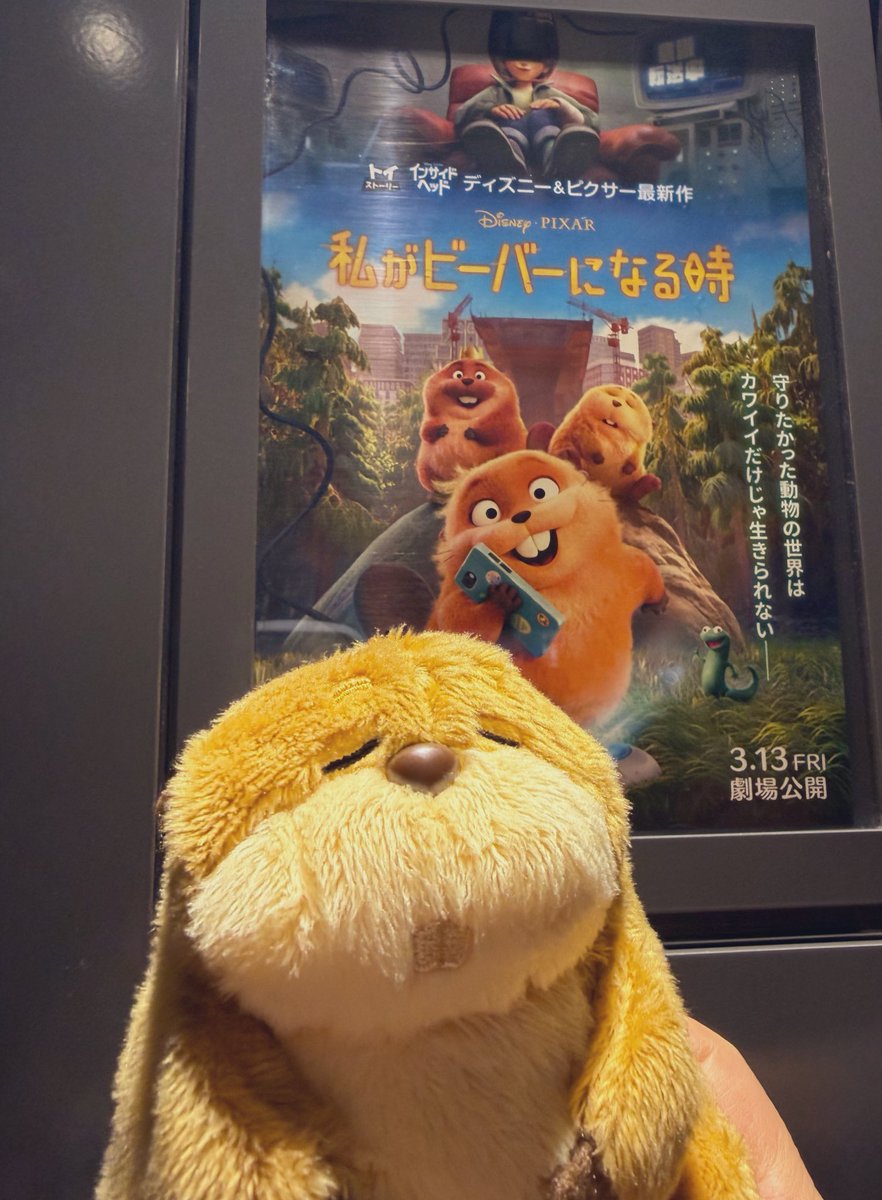 さぁ？ tweet media