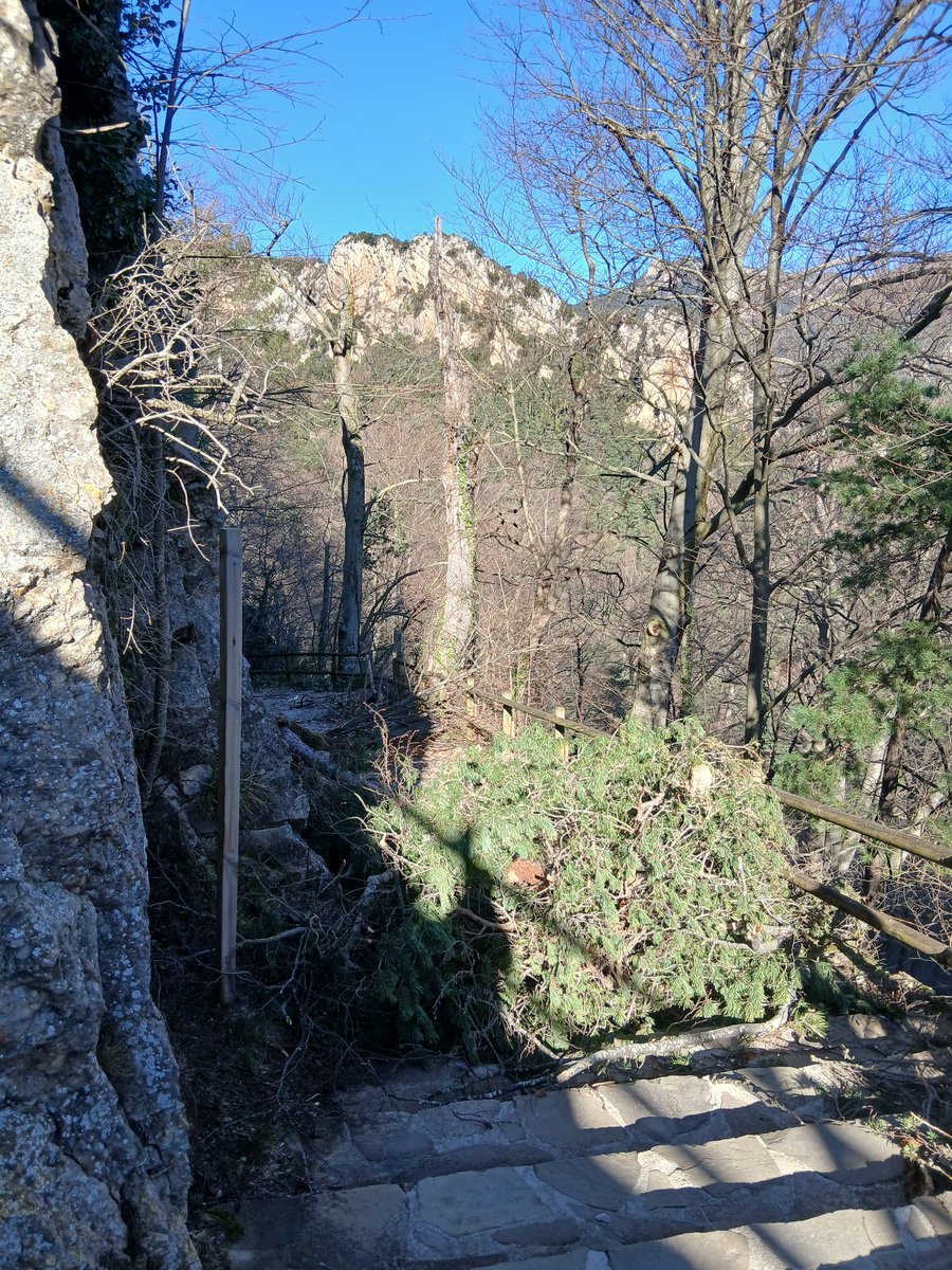 <a href="/AleixSerraUro/">Aleix Serra Uró</a> <a href="/agreB1/">meteoberga</a> <a href="/AjuntamentBerga/">Ajuntament de Berga</a> Camí per la dreta des del santuari si que va ben arrencar🤦‍♀️. Això es d'avui dilluns