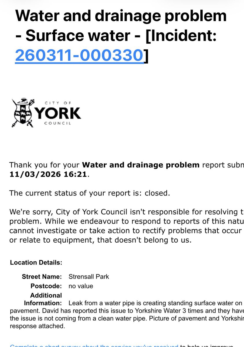 David Smith tweet media