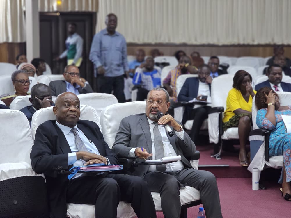 PNUD GABON tweet media