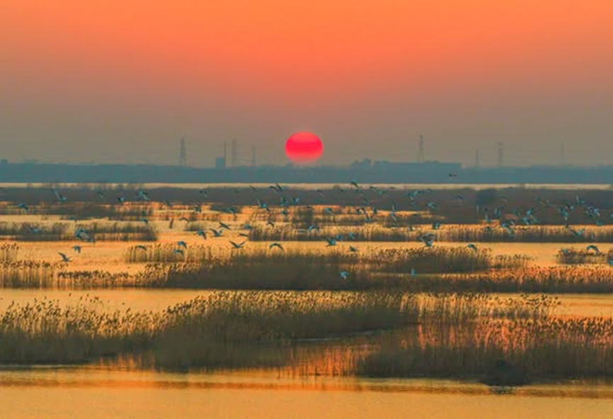 Chinese Embassy in Australia 中国驻澳大利亚大使馆 tweet media