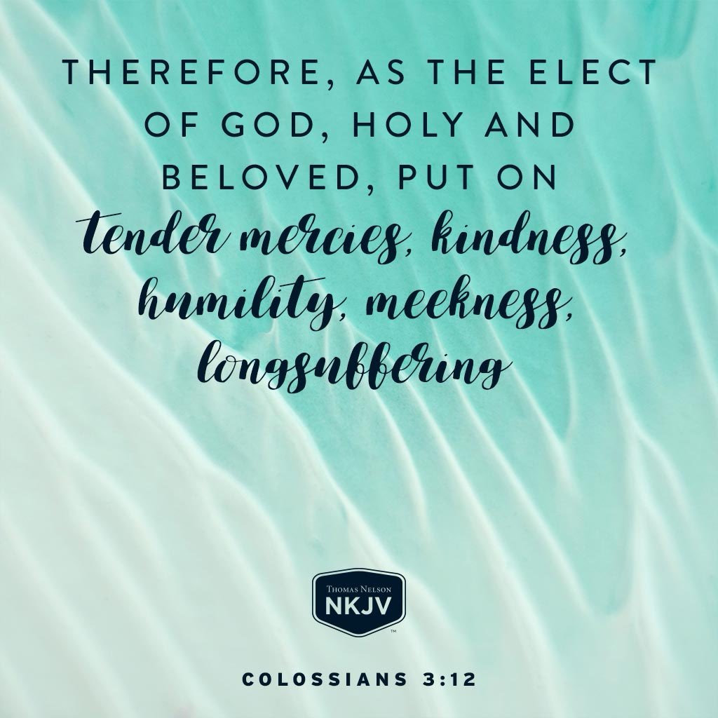 Tisa JD Clark tweet media