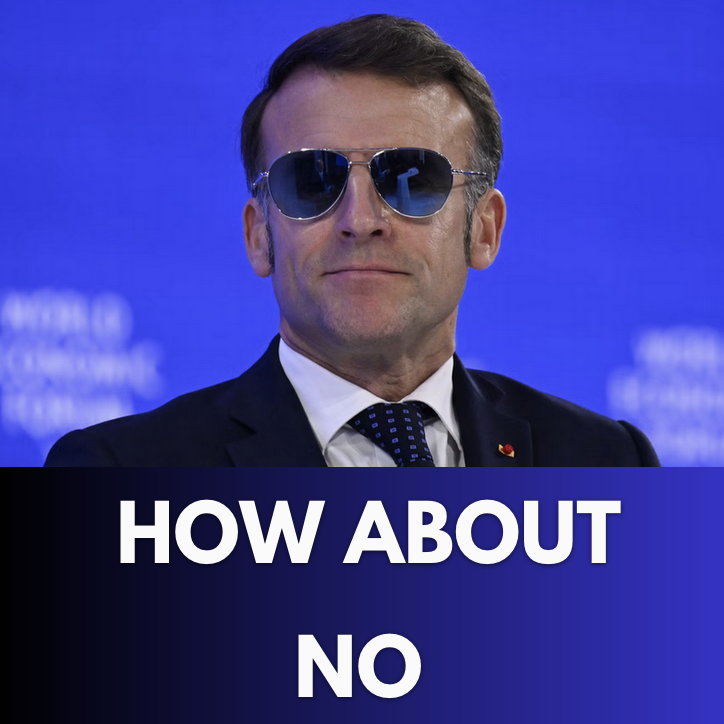 Le Zelenskyste 🇫🇷🇺🇦 tweet media