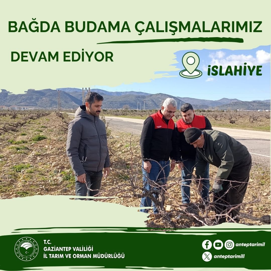anteptarimill's tweet image. İl ve İlçe Müdürlüğümüzde görevli teknik personellerimizce antepfıstığı ve bağlarda budama ilaçlama konularında teorik ve pratik eğitimlerimiz devam etmektedir. 

#antepfıstığı #bag 

@TCTarim @ibrahimyumakli @bugemtr @tobeydb @ibrahimsaglam46