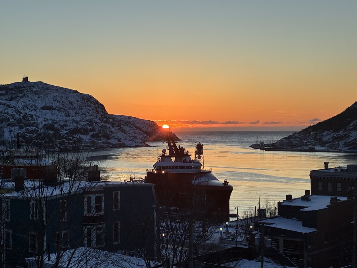 Francesca Swann tweet media