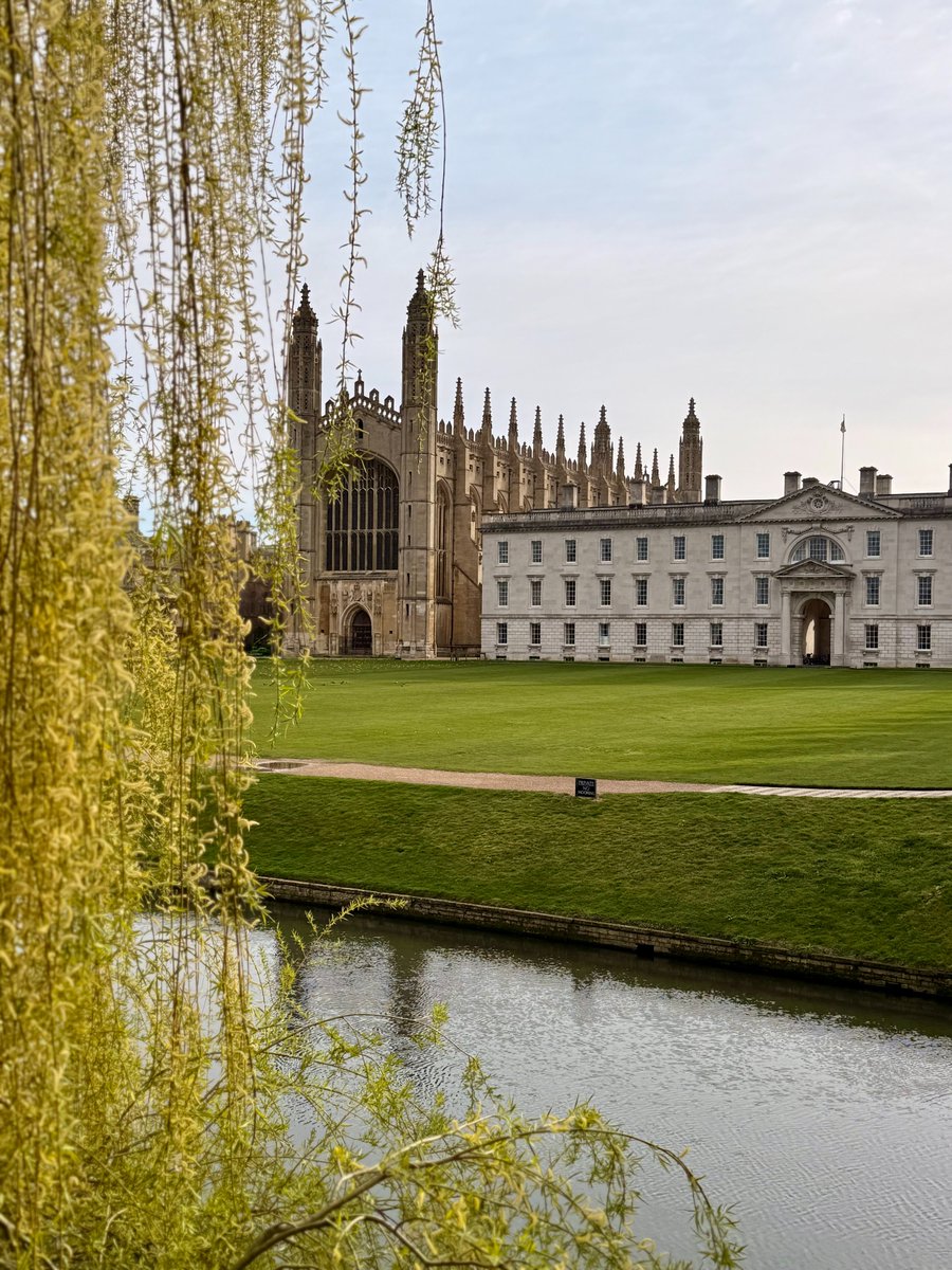 Kamiar Mohaddes tweet media