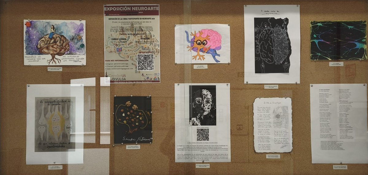 CerebrUS divulga tweet media