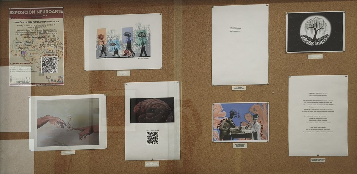 CerebrUS divulga tweet media