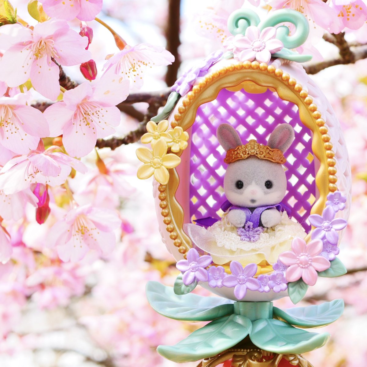 ひよこ🐣 (@h1natan0h1y0k0) / Posts / X