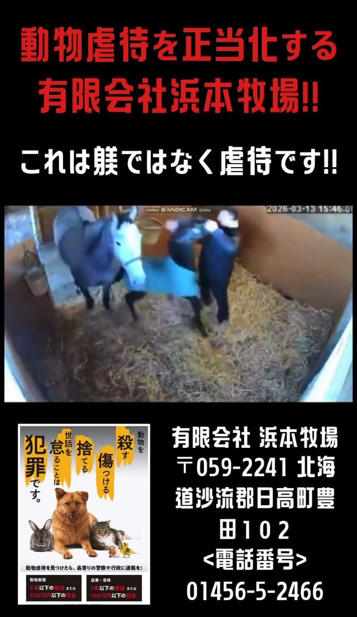 競走馬生産牧場の人間なんて
みんなこんな事してるんだろうね

この人達にすれば
馬なんて単なる金稼ぐ道具だもん

より速く走らせ
より高く売り飛ばす為なら
殴る蹴るくらい何でもないよね

愛情なんか元々欠片もない
外道の集まりだもん
#競馬は動物虐待　
#浜本牧場馬殴る