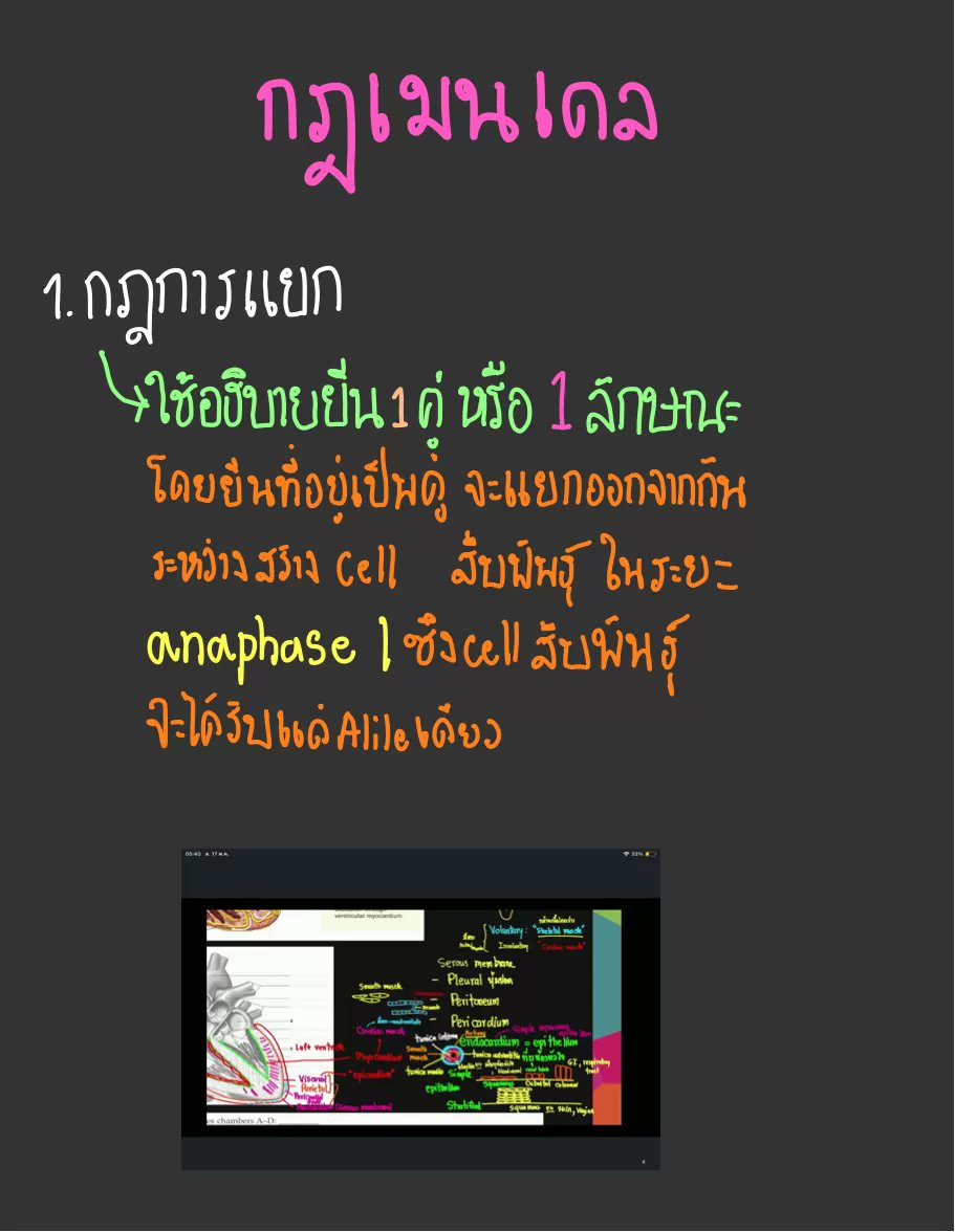 Clearnote Thailand tweet media