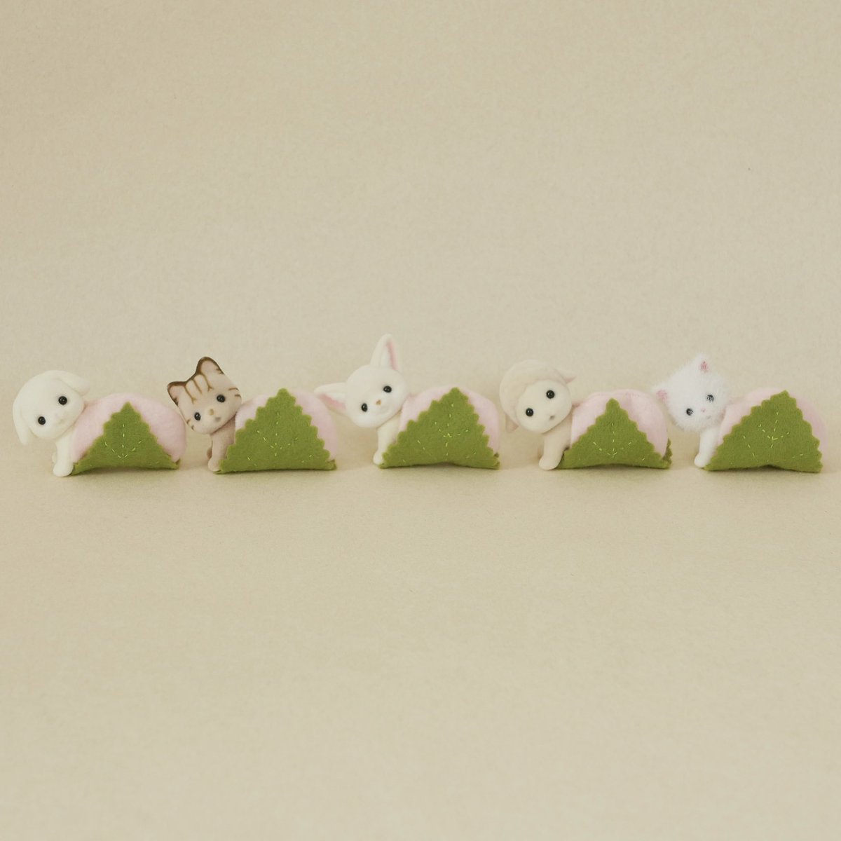 ひよこ🐣 tweet media