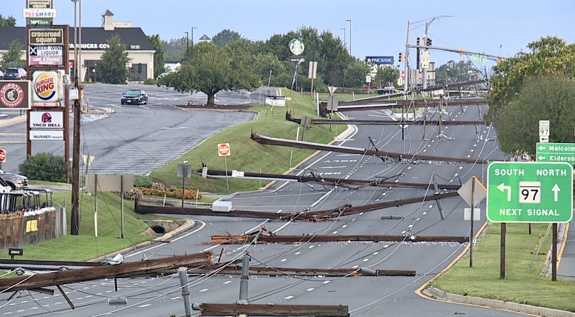 Stevie Daniels tweet media