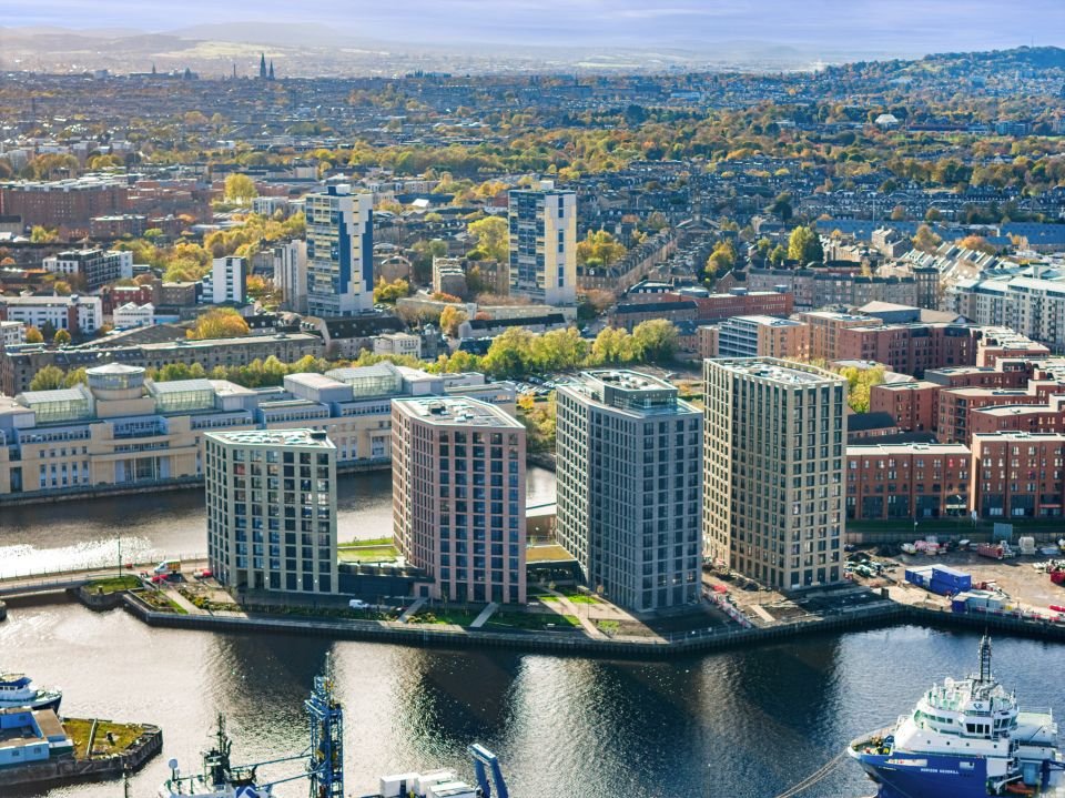 Harry Williams tweet media