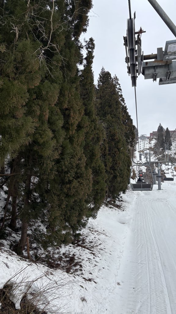 じぶりす（じぶ） tweet media