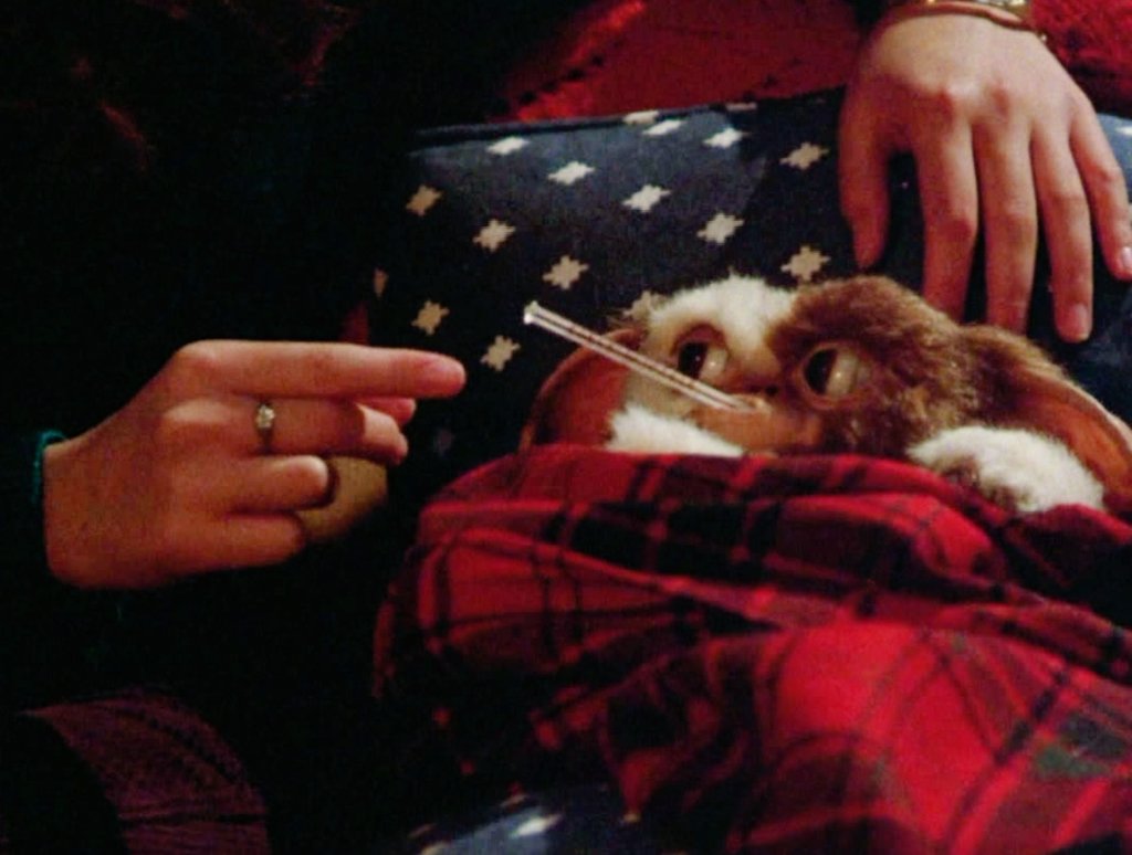 MALACARA tweet media