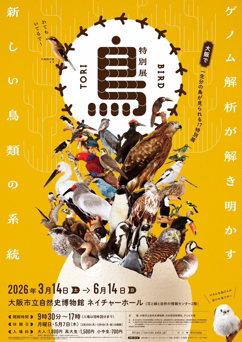 ことりすまいる〜特別展「鳥」公式トリバサダー tweet media