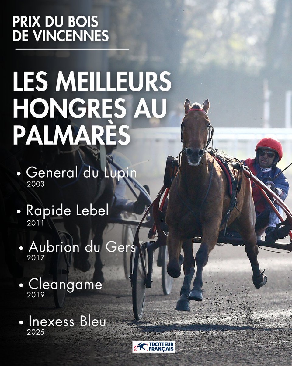 Trotteur Français tweet media