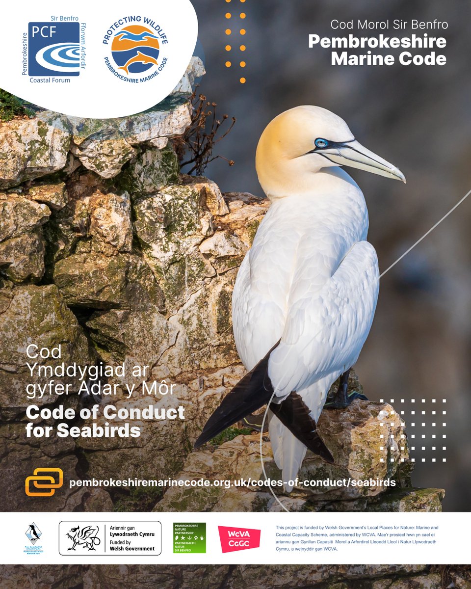 Pembs Coastal Forum tweet media