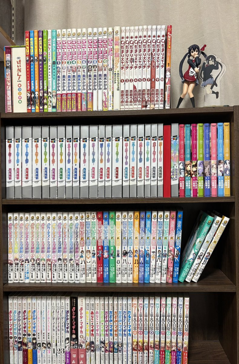 本棚買ったわよ
