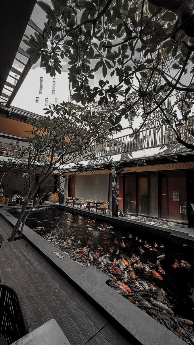 𝐅𝐀𝐇 tweet media