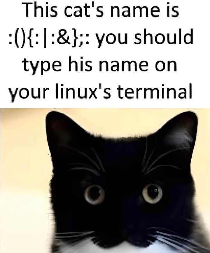 Abdulkadir | Cybersecurity tweet media