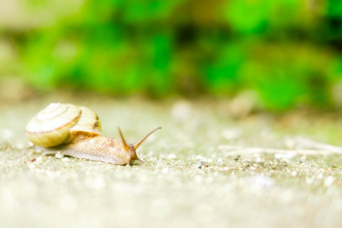 むつきa!ATC tweet media