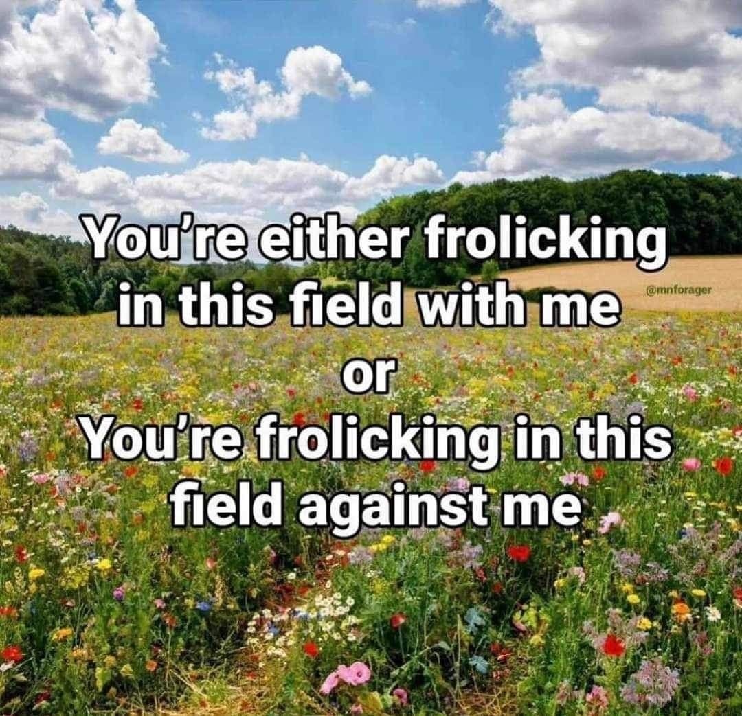 horse dentist tweet media